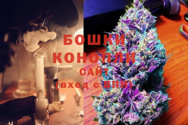 шишки Алексеевка