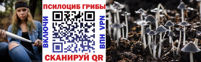 даркнет сайт  Комсомольск  Псилоцибиновые грибы мицелий 