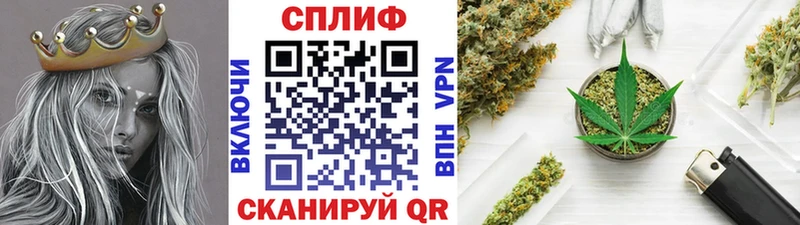 omg ССЫЛКА что такое Комсомольск Бошки марихуана THC 21%